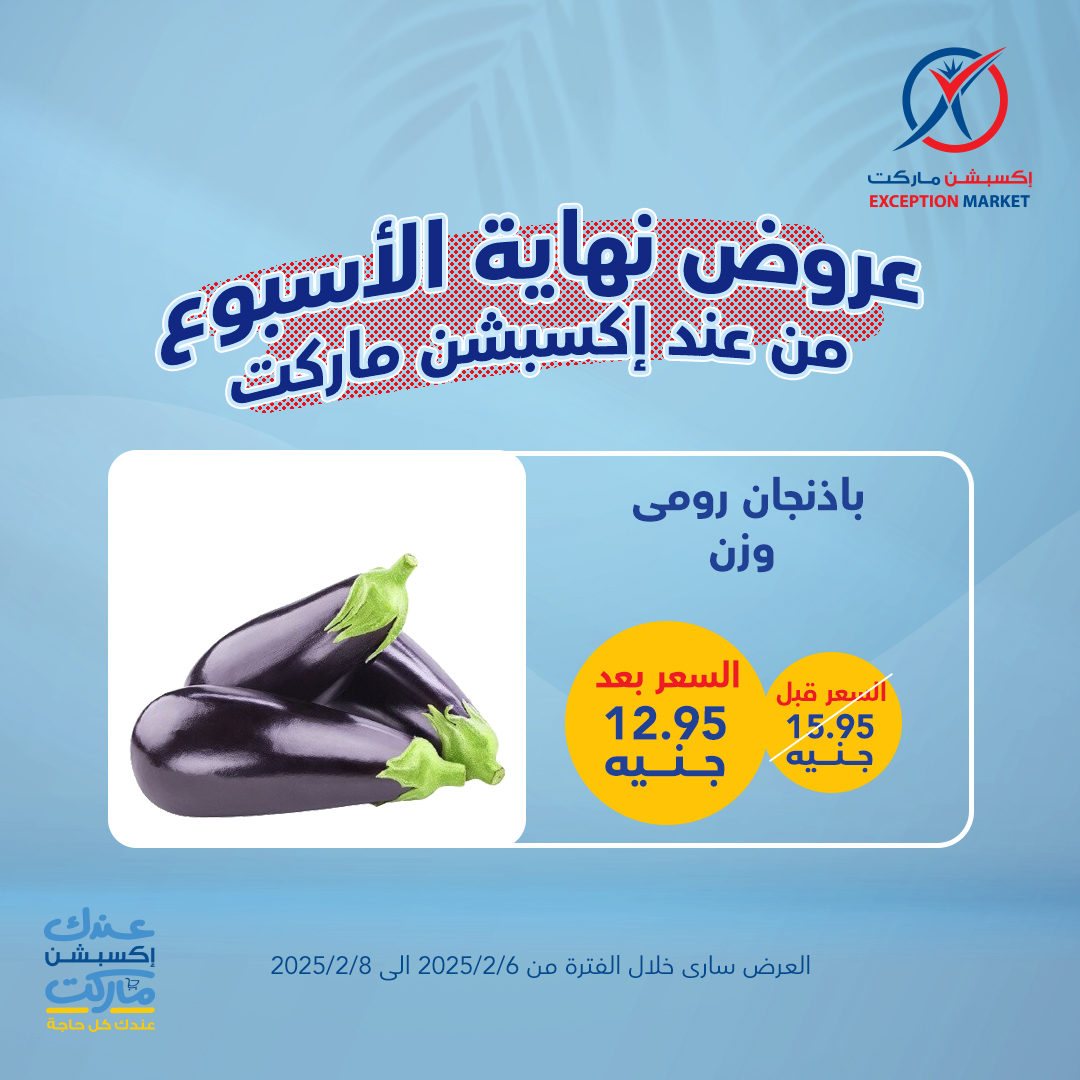 exception offers from 6feb to 2feb 2025 عروض اكسبشن من 6 فبراير حتى 2 فبراير 2025 صفحة رقم 13